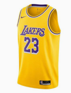 Nike NBA ANGELES  Lakers Lebron James icon edition 2020 jersey
