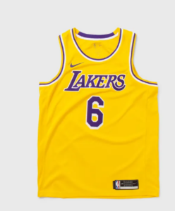 Nike NBA Swingman Jersey Lakers Icon Edition 2020 - LEBRON JAMES