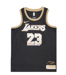 Nike Dri-FIT LeBron James Los Angeles Lakers 2024 Select Series Swingman