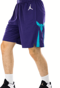 Jordan Charlotte Hornets NBA Statement Edition Swingman