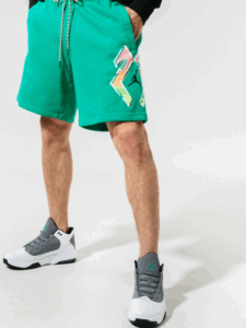 Nike Air Jordan Big Logo DNA Shorts.