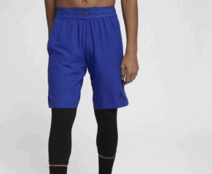 Nike Jordan Ultimate Flight shorts