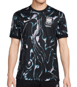 Camiseta Oficial Nike Corea del Sur Segunda Equipación 2024.