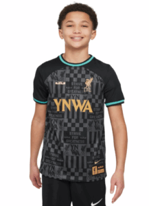 Camiseta Nike infantil Liverpool FC Stadium x Lebron James LMTD